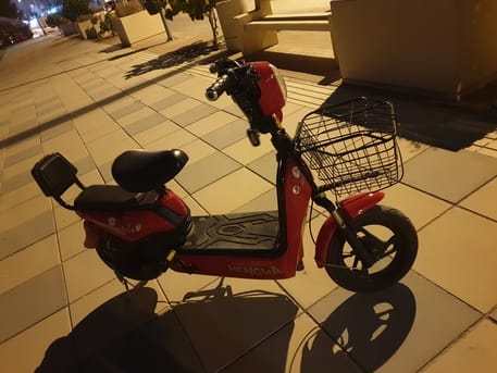 Electric Scooter
